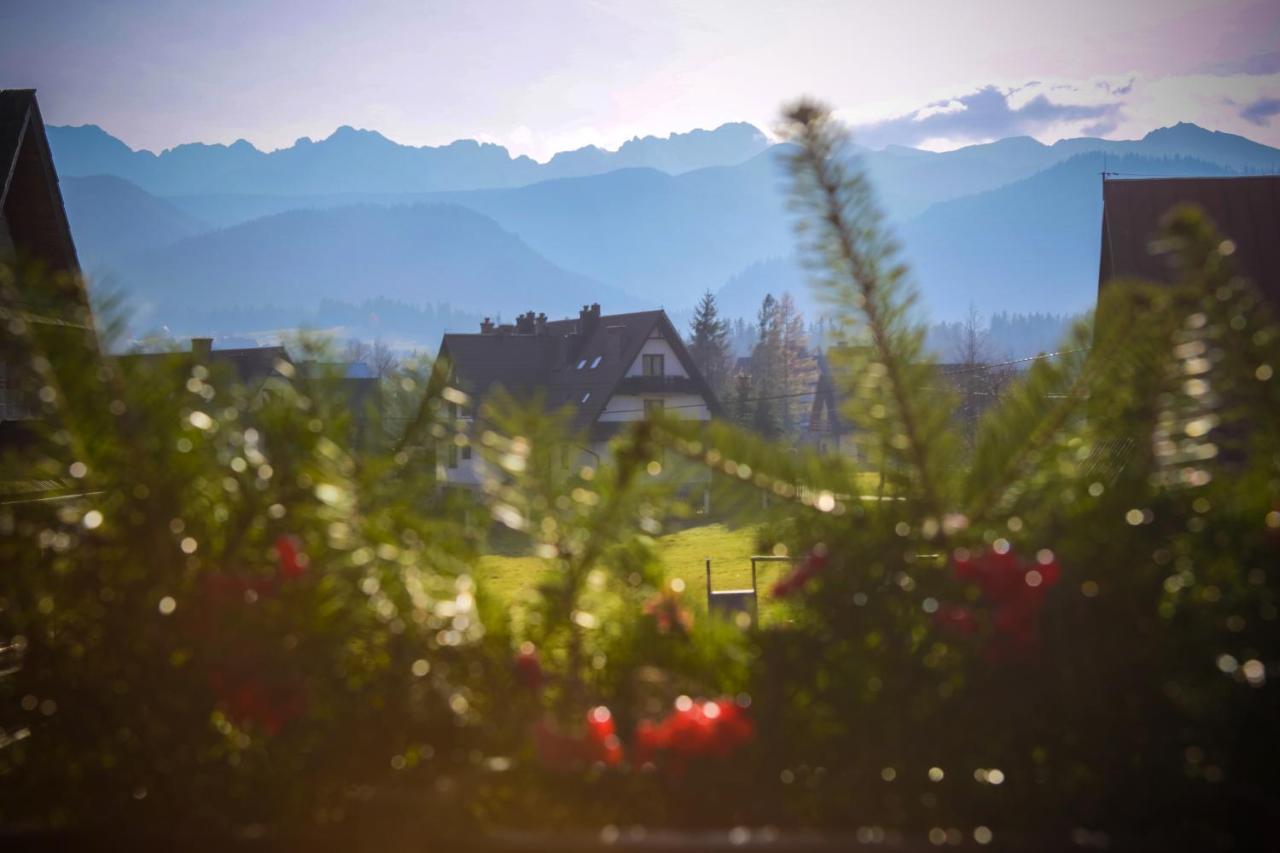 Rentplanet - Willa Szafran Zakopane Buitenkant foto